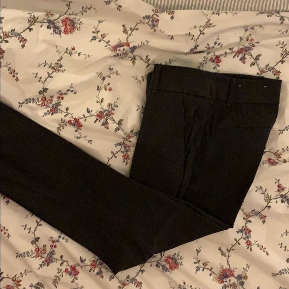Ann Taylor LOFT Modern Dress Pants